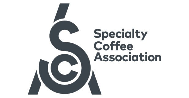 Building Skills for Baristas: The Specialty Coffee Associations Dedication to Excellence