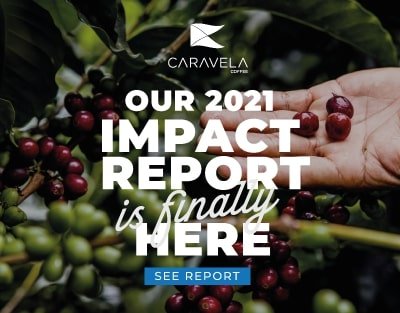 Exploring the Impact of Perfect Daily Grind on the Coffee Industry