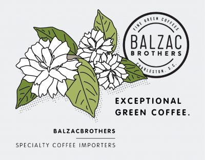 Perfect Daily Grind: the Latest Coffee News and Updates