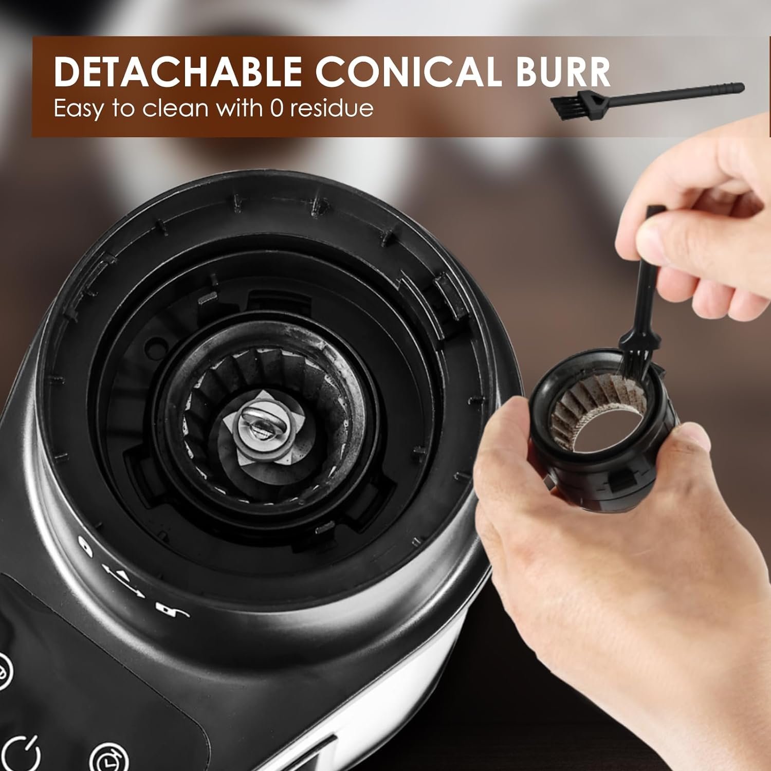 Spoonlemon Conical Burr Coffee Grinder Review Beans To Brewers